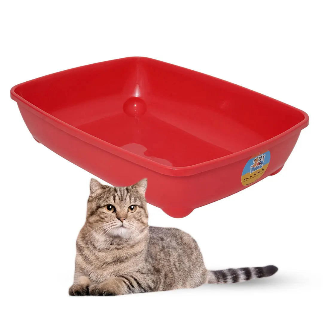 Arenero Grande Abierto Gato