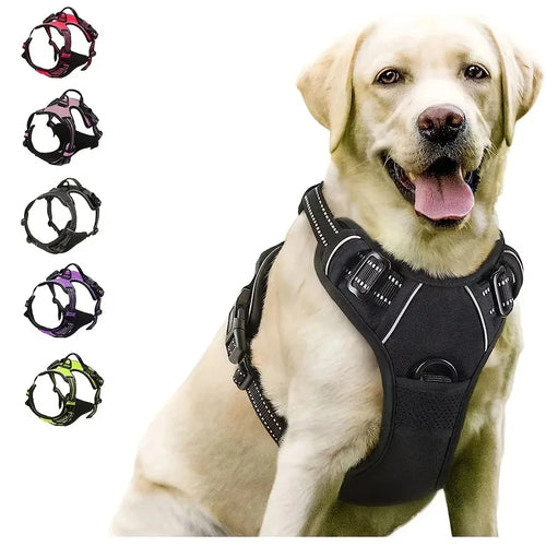 Arnés de collares para perros