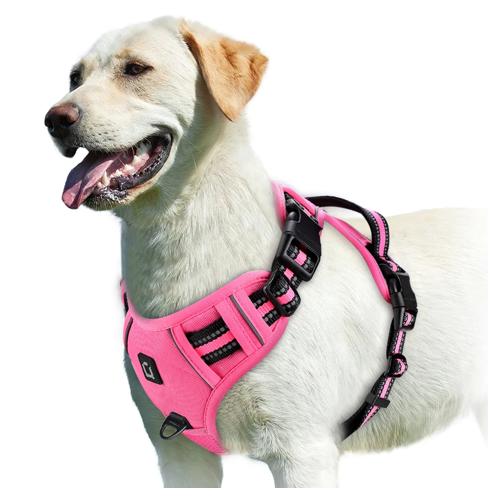 Arnés sin tirones para perro y chaleco acolchado suave ajustable