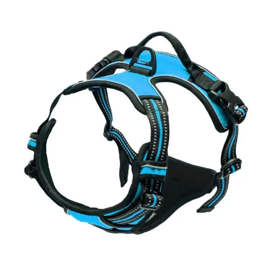 Arnés de collares para perros