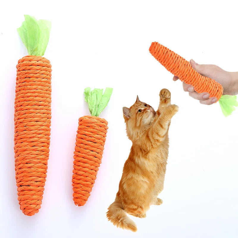 Juguete para gatito de zanahoria