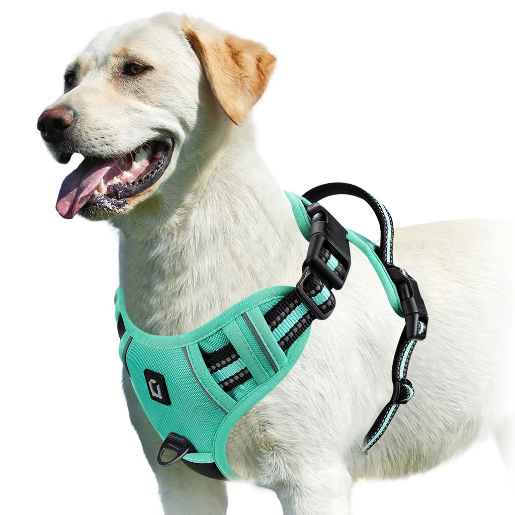 Arnés sin tirones para perro y chaleco acolchado suave ajustable