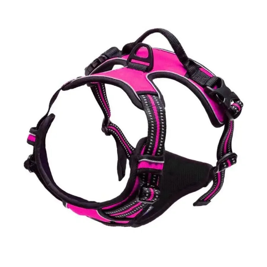Arnés de collares para perros