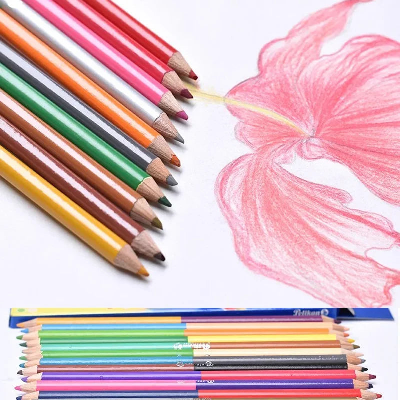 Lápices de doble cabeza de 24 colores