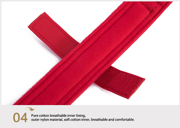 Collar y Correa Táctica Reflectante para Perros Grandes