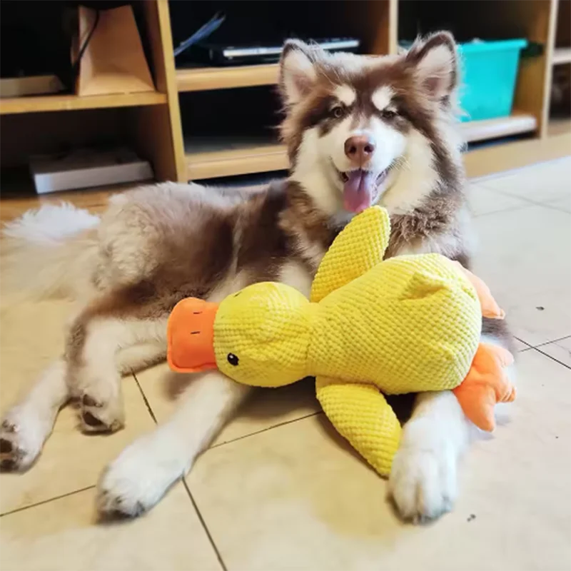 Juegete para mascota forma de patito