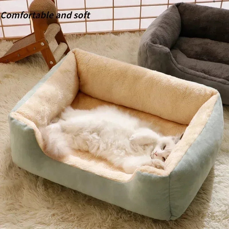 cama para gatito