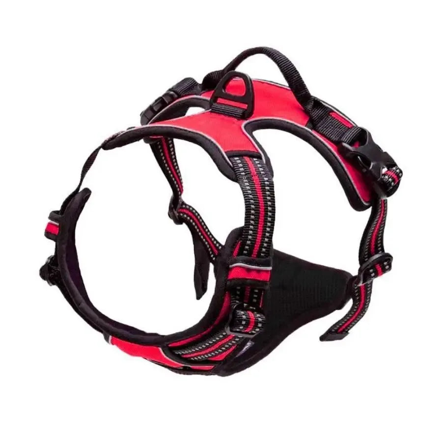 Arnés de collares para perros