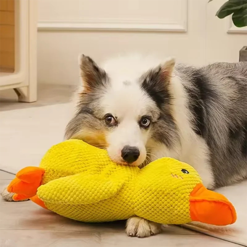Juegete para mascota forma de patito