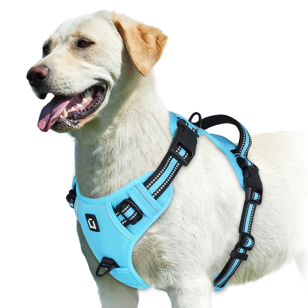 Arnés sin tirones para perro y chaleco acolchado suave ajustable