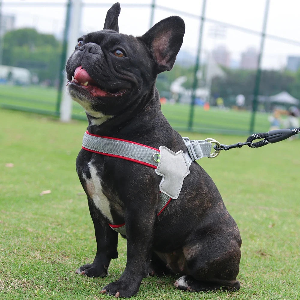 Arnés Reflectante Ajustable para Perros Pequeños y Medianos