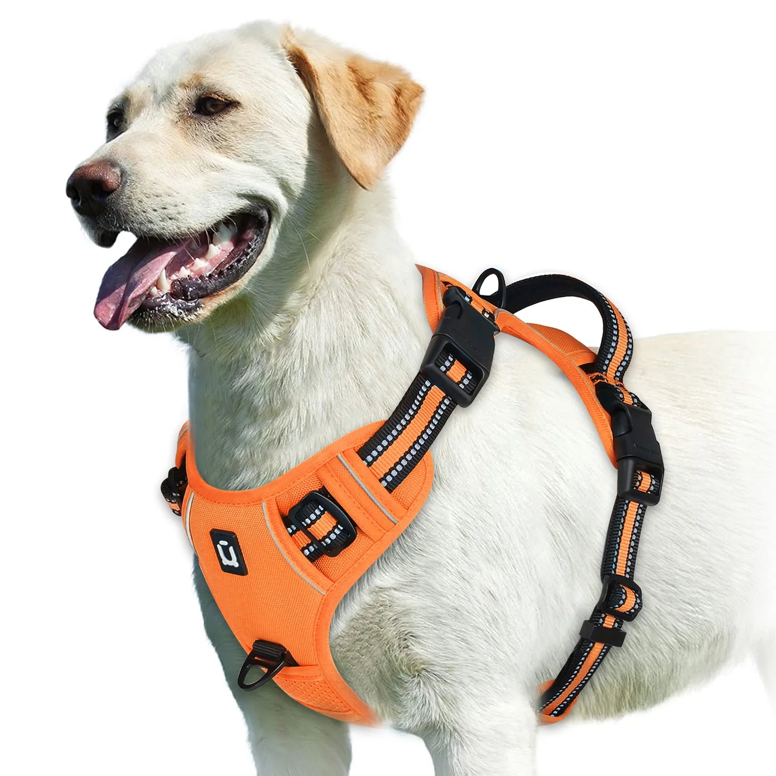 Arnés sin tirones para perro y chaleco acolchado suave ajustable