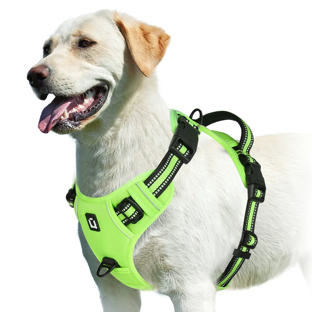 Arnés sin tirones para perro y chaleco acolchado suave ajustable