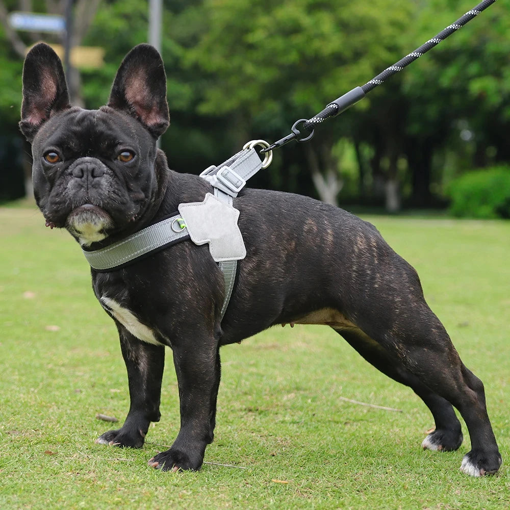Arnés Reflectante Ajustable para Perros Pequeños y Medianos