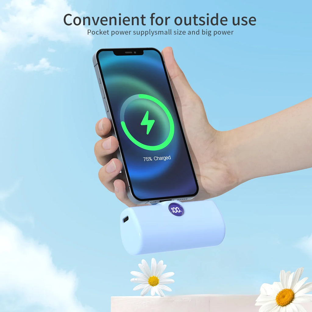 Mini cargador portátil, Banco de energía portátil
