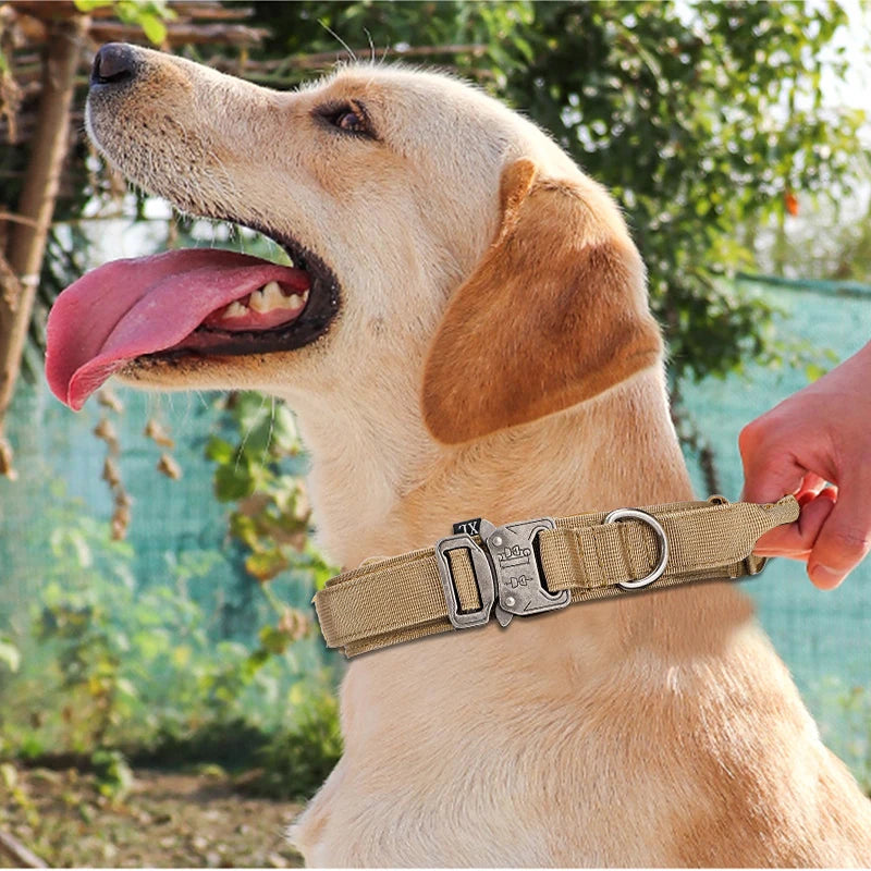 Collar y Correa Táctica Reflectante para Perros Grandes