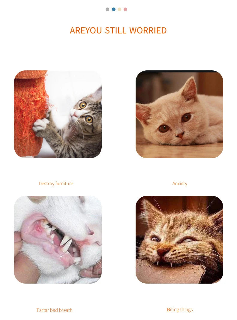 Juguete para gatito de zanahoria