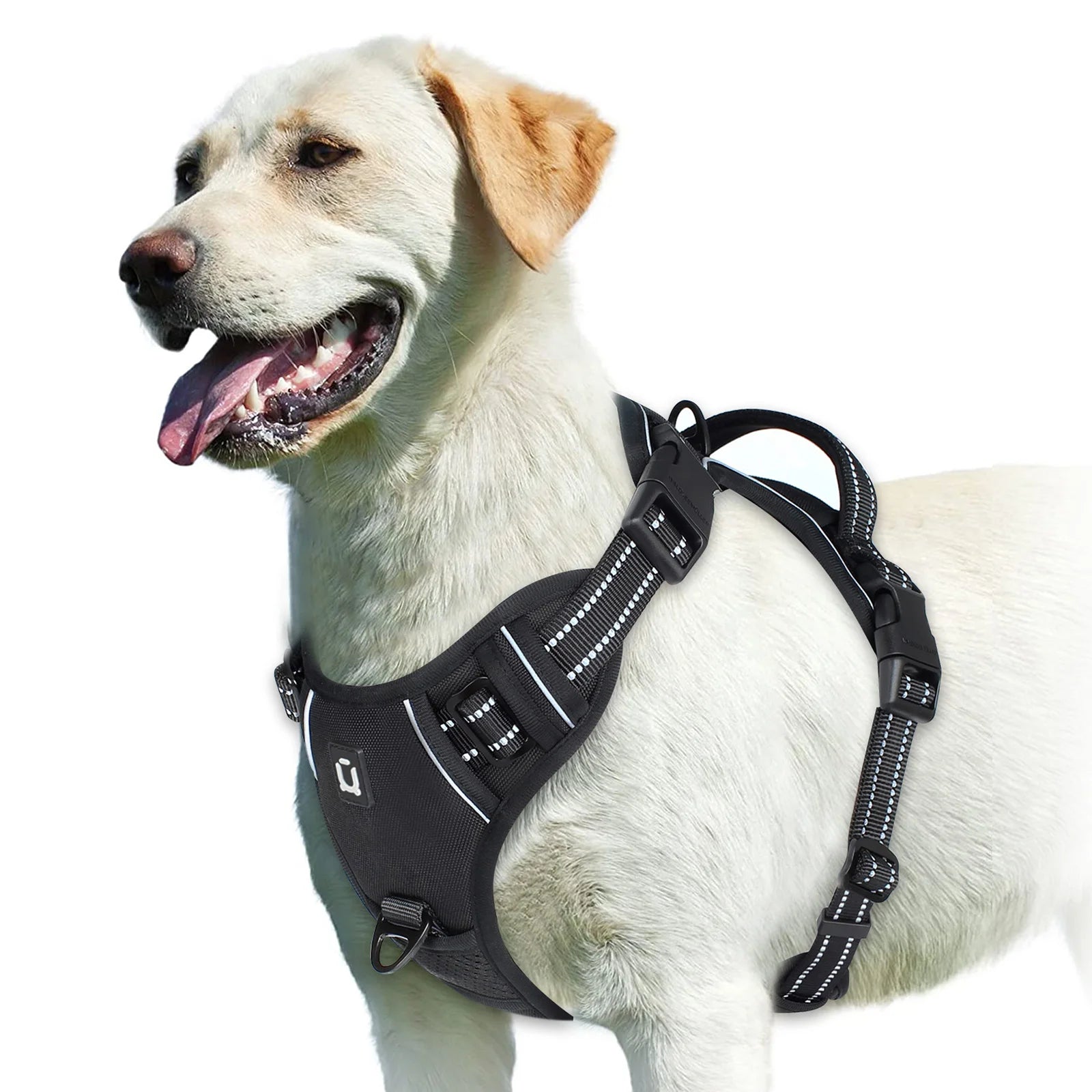 Arnés sin tirones para perro y chaleco acolchado suave ajustable