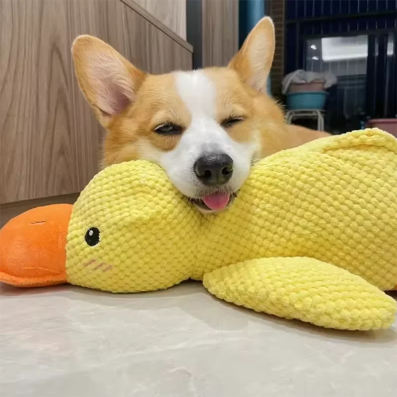 Juegete para mascota forma de patito