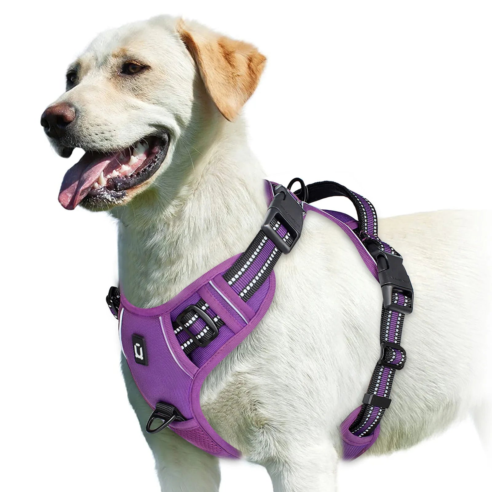 Arnés sin tirones para perro y chaleco acolchado suave ajustable