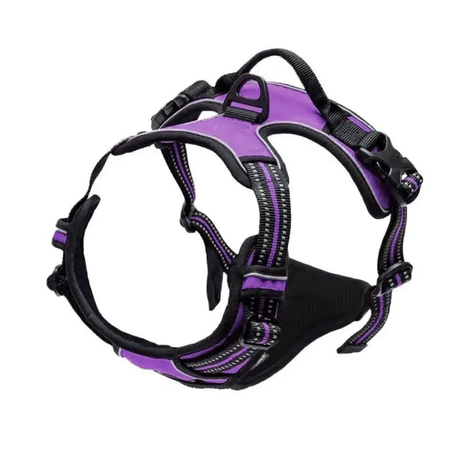 Arnés de collares para perros