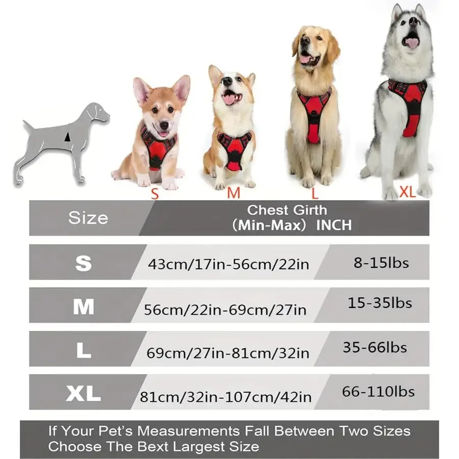 Arnés de collares para perros
