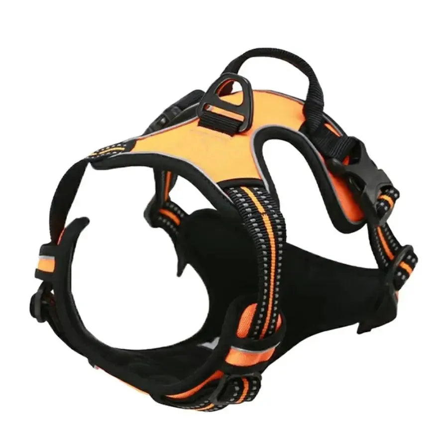 Arnés de collares para perros
